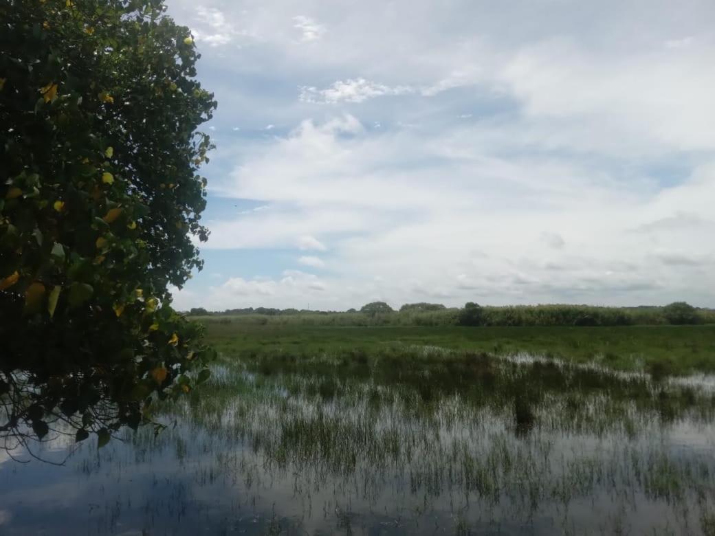 Lagoon Birds - Tangalle Hotel Ngoại thất bức ảnh