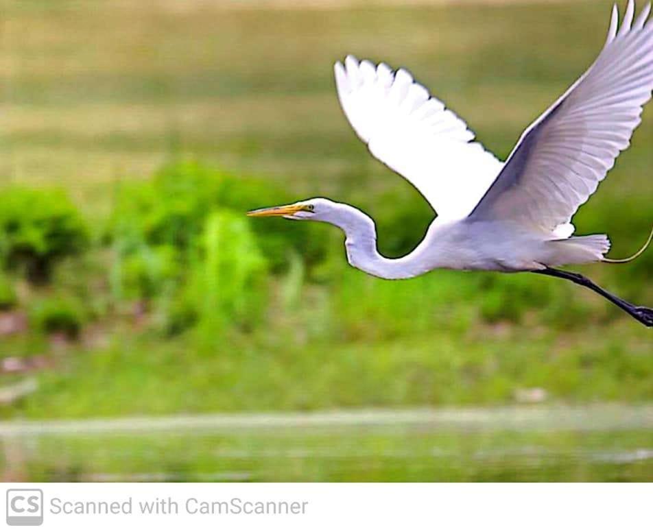 Lagoon Birds - Tangalle Hotel Ngoại thất bức ảnh